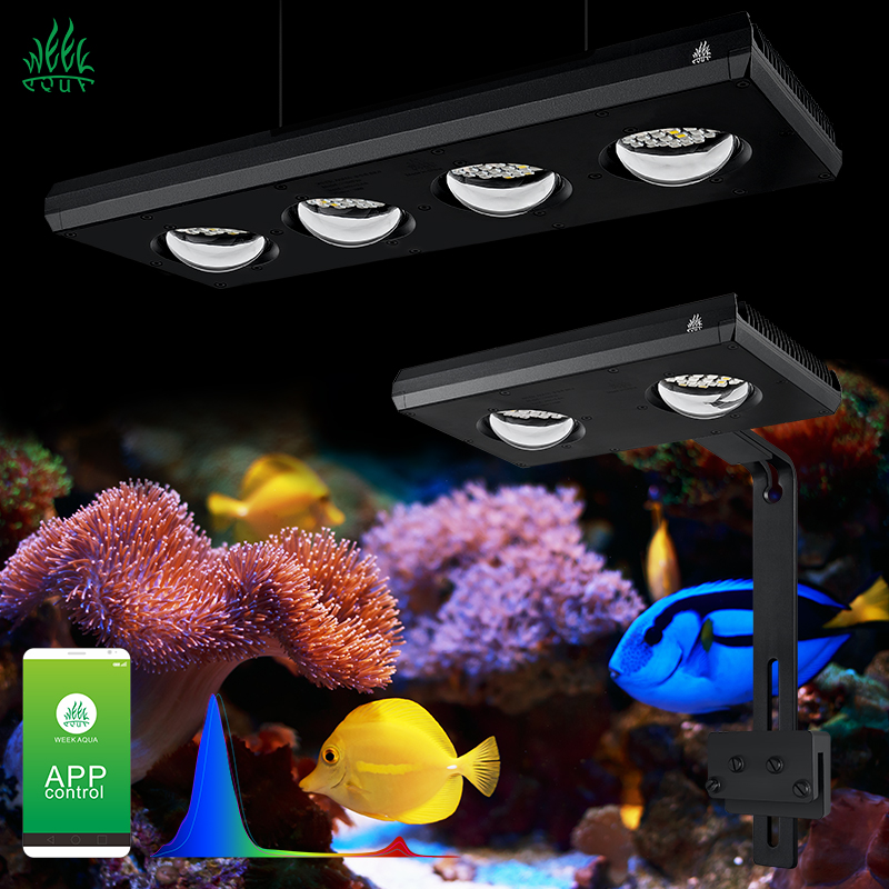 Aquarium Blue Marine - ZXY Gorąca Wyprzedaż WEEKAQUA Z250 Z400sea