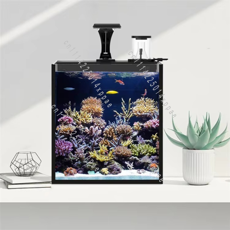 Do mini akwarium morskiego z p – Aquarium Marine Salt recenzja i cena