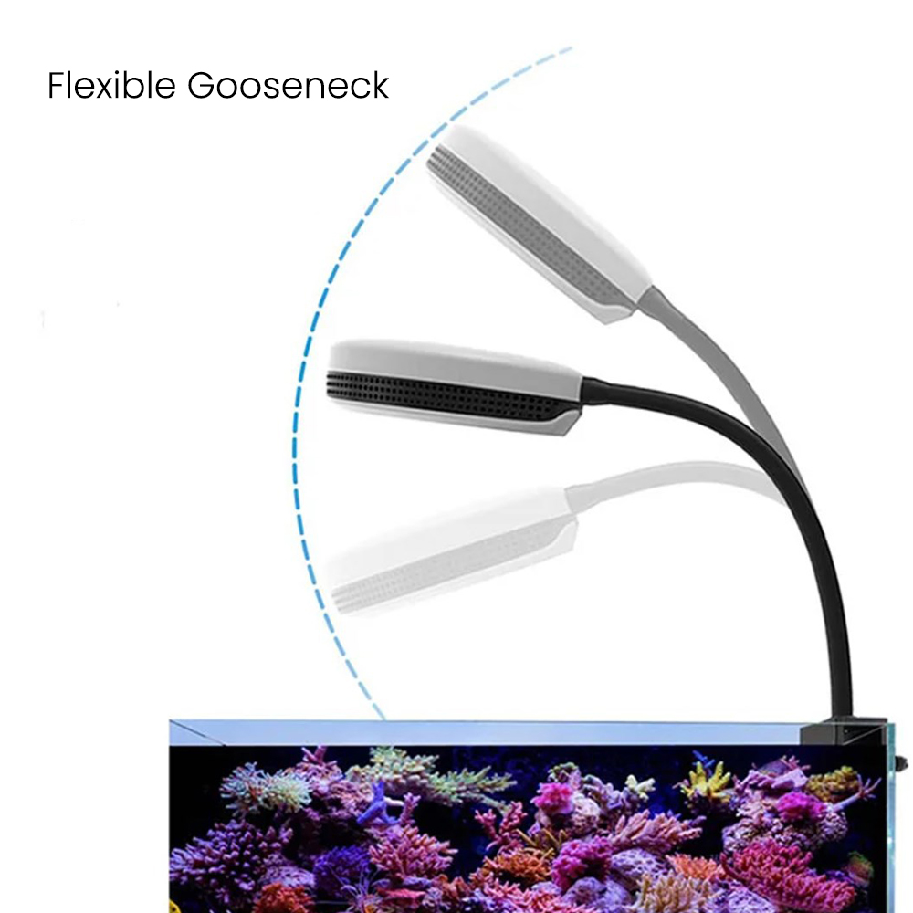 Lampa LED do akwarium Spectra  – Marine Aquarium Lamp recenzja i cena