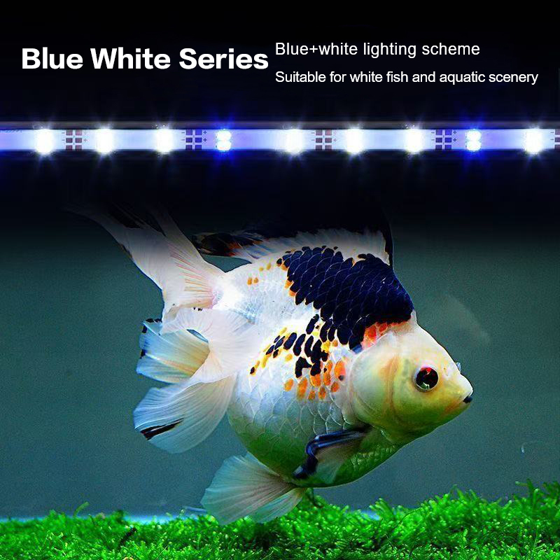 Lampa akwariowa LED z wtyczką  – Marine Aquarium Lamp recenzja i cena