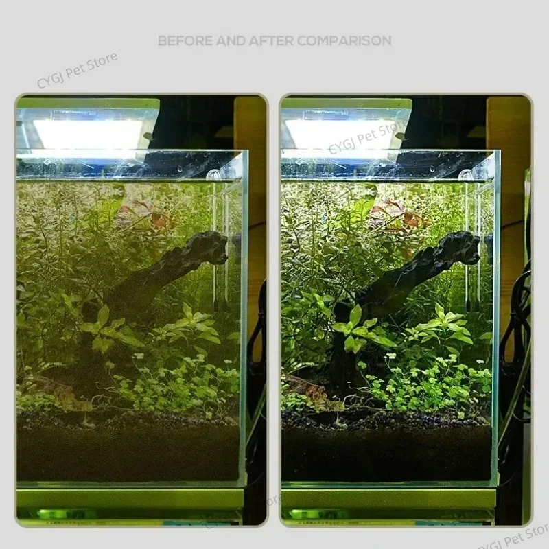 Narzędzie do czyszczenia akwar – Marine Aquarium Glass Scraper recenzja i cena