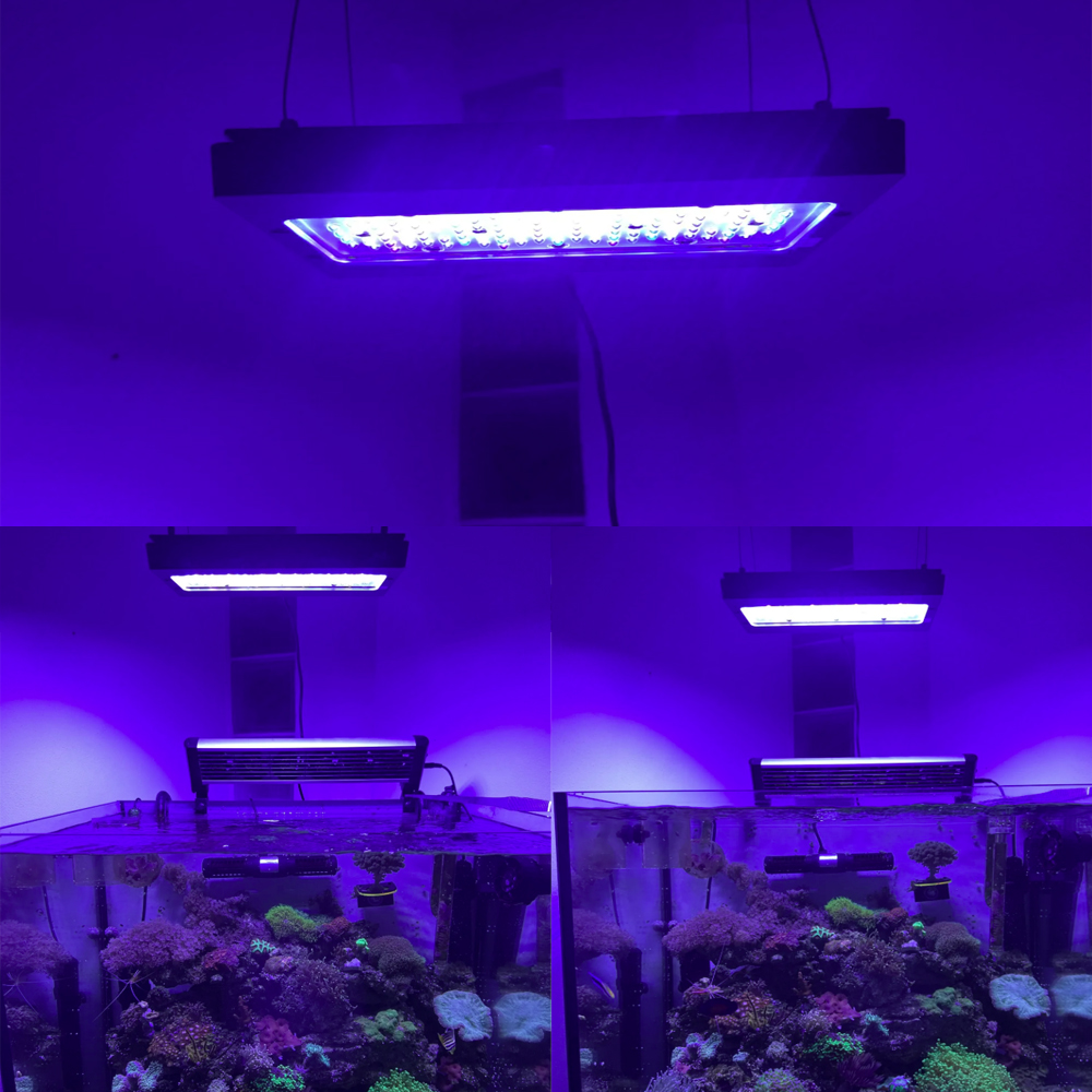 A8se Pro III MAX Niebieskie 24 – Aquarium Blue Marine recenzja i cena