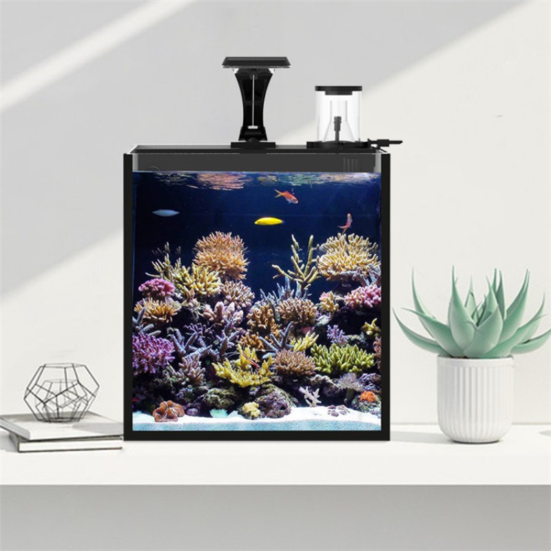 Ultra-przezroczyste szklane mi – Aquarium Marine Salt recenzja i cena
