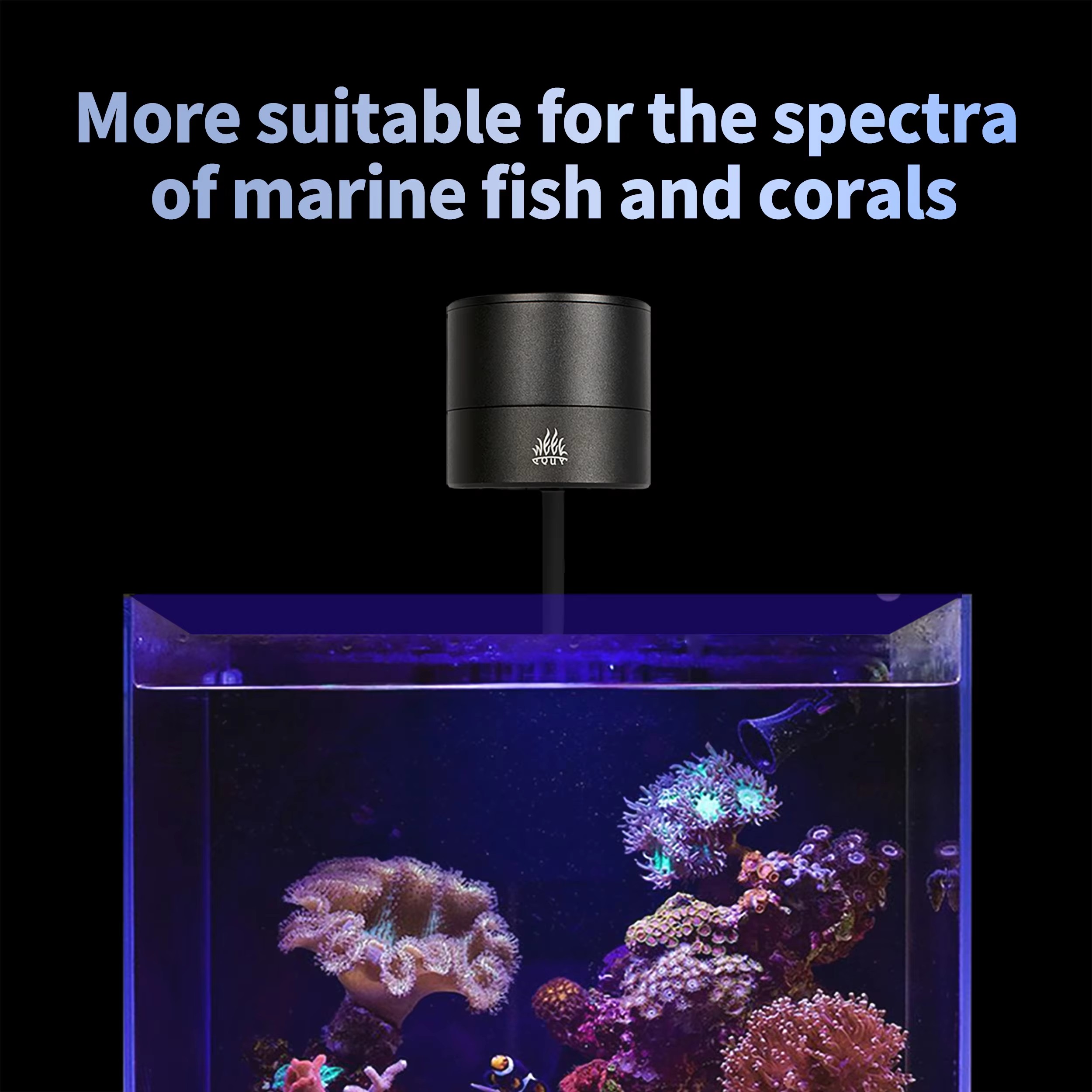 WEEK AQUA Producenty oświetlen – Aquarium Blue Marine recenzja i cena