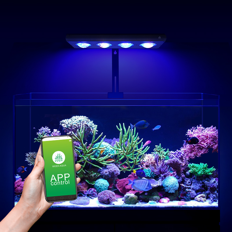 ZXY Gorąca Wyprzedaż WEEKAQUA  – Aquarium Blue Marine recenzja i cena