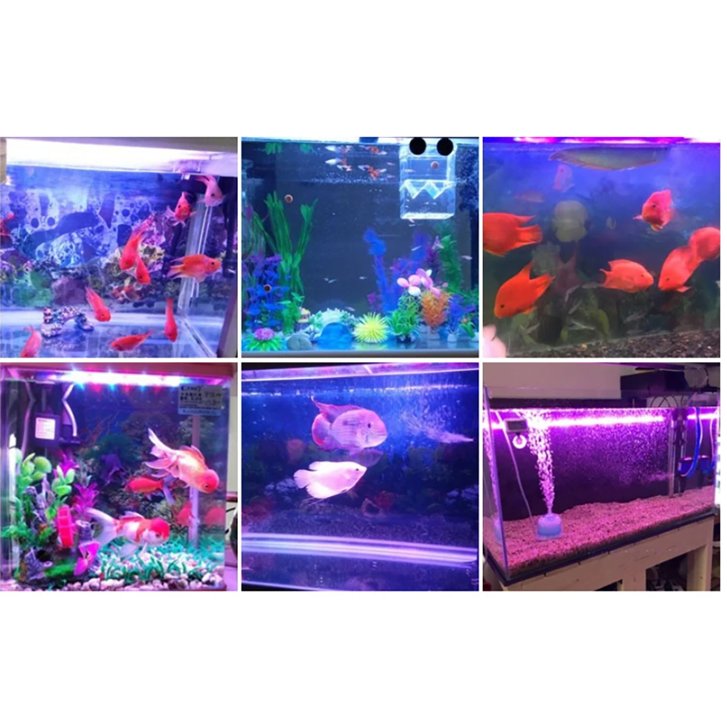 50W 60W 70W 100W RGB 26-28V Wy – Aquarium Blue Marine recenzja i cena