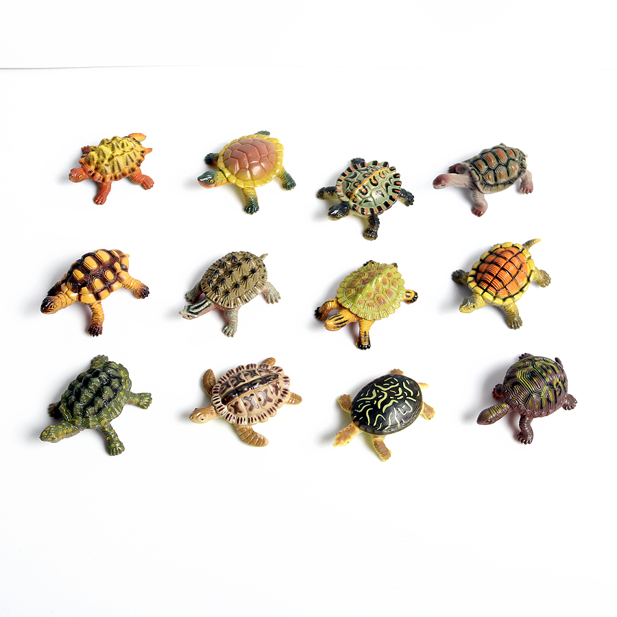 Realistyczne miniatury życie m – Marine Aquarium Mini recenzja i cena